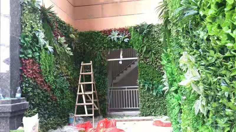 植物墙要大面积绿植去美化